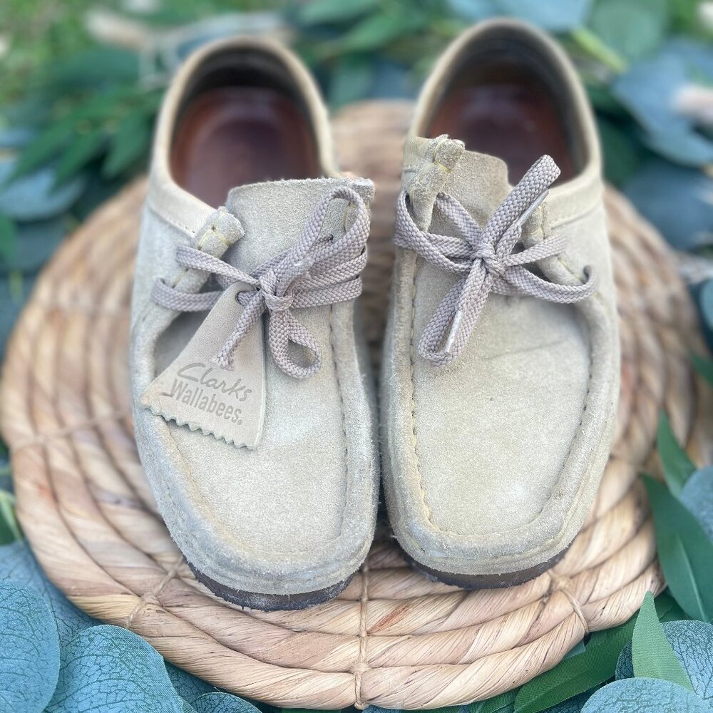Clarks Wallabee Suede Shoes